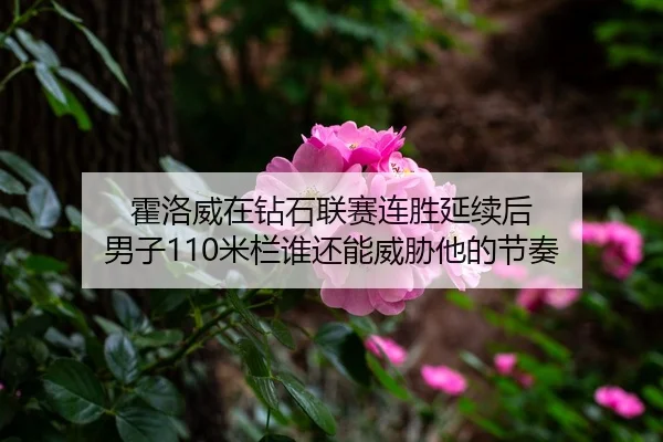霍洛威在钻石联赛连胜延续后 男子110米栏谁还能威胁他的节奏