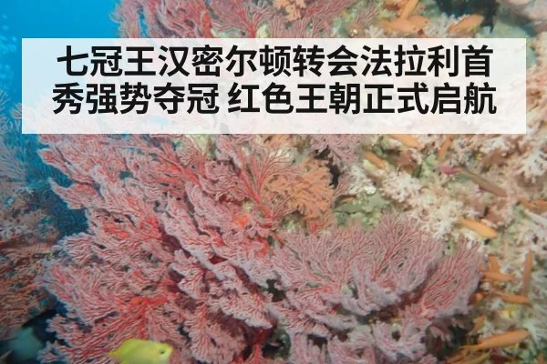 七冠王汉密尔顿转会法拉利首秀强势夺冠 红色王朝正式启航